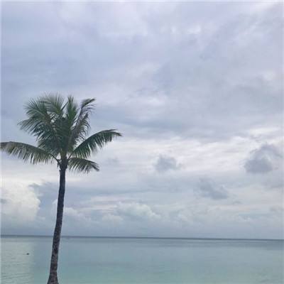 我是召唤师手游下载